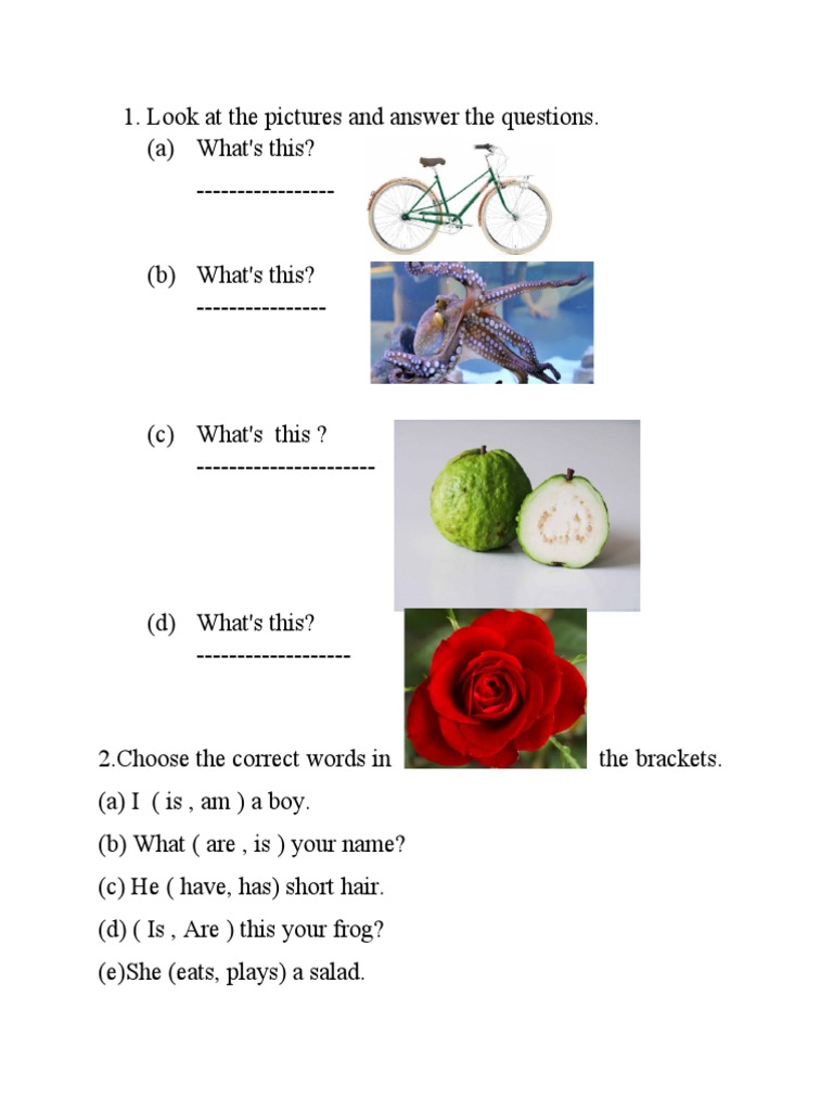exam-for-grade-2-english-pdf