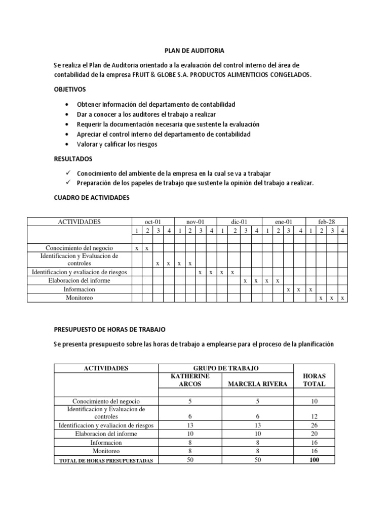 Plan de Auditoria | PDF | Auditoría | Planificación