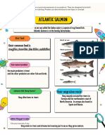 Salmon Poster LA Project JJW