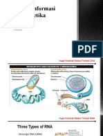 Aliran Informasi Genetika