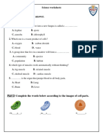 Science Worksheet F