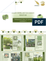 Identifikasi 10 Tanaman Sekitar