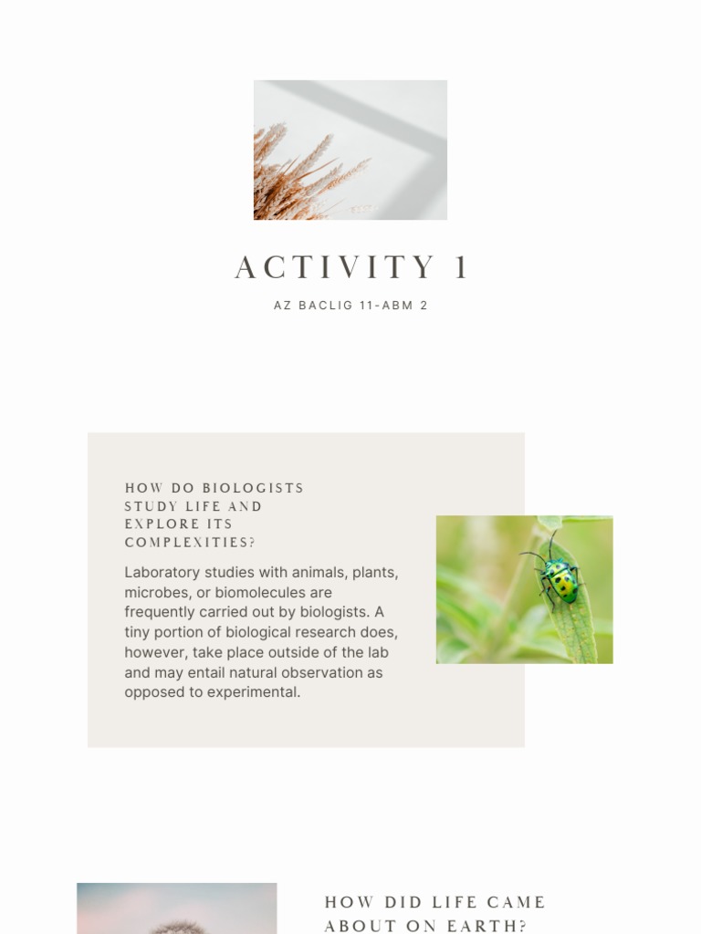 Activity 1 | PDF