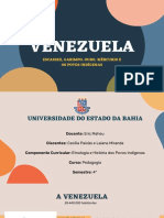 Venezuela - Garimpo, Mercúrio e Povo Indígenas