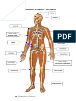 Practica1 - Puntos Anatomicos de Referencia