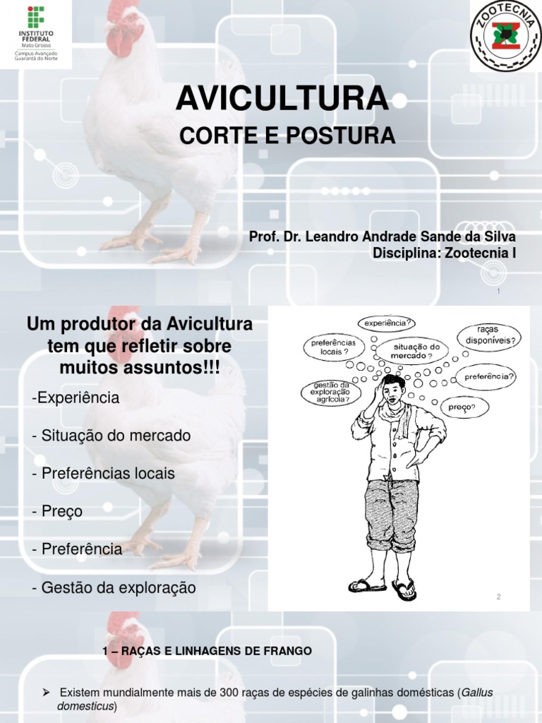 aula-1-avicultura-pdf-frango-avicultura