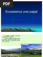 Download Lectie 6 - Ecosistemul Unei Pajisti by Aurel Pop SN61388286 doc pdf
