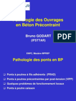 Pathologie BP G17