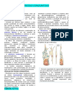 O principal tecido de sustentação do corpo humano