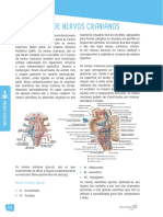 SUP - AP - Anatomia Humana - 12 Pares de Nervos Cranianos