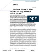 Polymicrobial Biofilms of Ocular Bacteria and Fungi On Ex Vivo Human Corneas