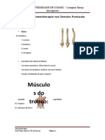 Aula 03 - Cinesioterapia Nos Desvios Posturais