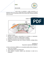 Examen Escrito 4 CST - Dic 3