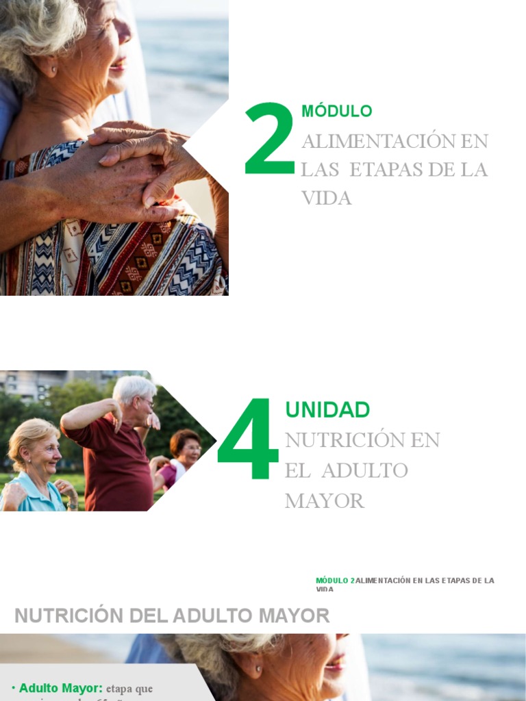 Nutrición en el Adulto Mayor: PACAM | PDF | Nutrición | Dieta y nutrición
