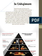 Piramida Ushqimore-Projekt Në Biologji