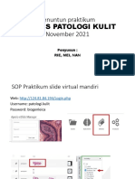 Praktikum