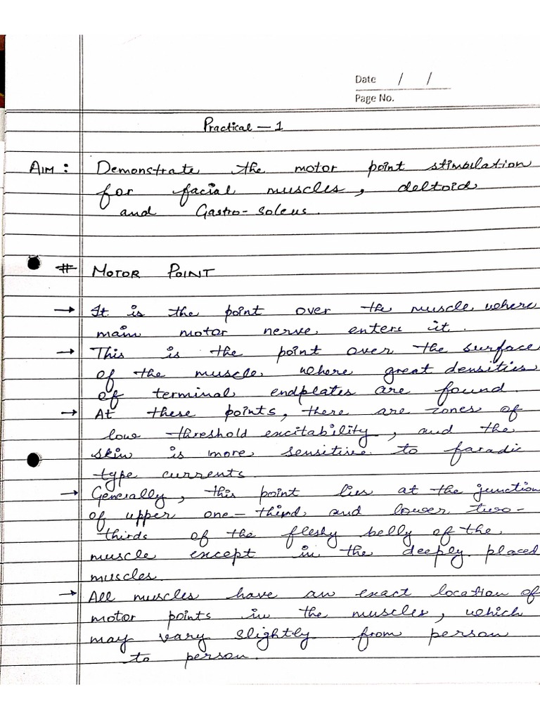 Muscle Stimulator PDF