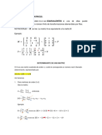 Equivalencia de Matrices y Determinante de Matrices