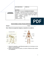 Proceso de Homonización