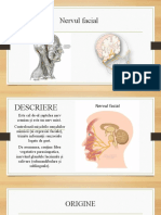 Nervul Facial