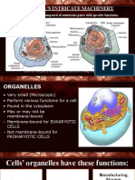 D. Cell Organelles