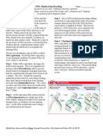 02 DNA Replication Reading