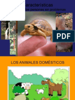 ANIMALES Domesticos