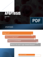 Apoptosis Lecture 2022