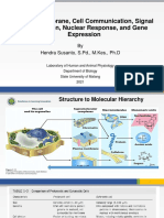 02 Membrane-Cell Communication-Signal Transduction-Nuclear-Gene Expression 2021