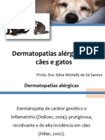 1 Dermatites Alérgicas SV1