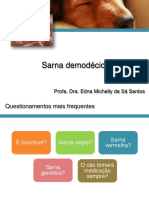 Sarna demodécica: causas, sintomas e tratamento