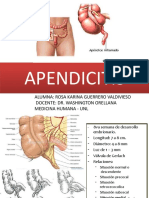 Apendicitis Rosakarinaguerrerov 140405104730 Phpapp01