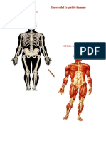 T.A.I. de Ciencias Naturales Tercero A