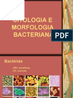 Morfologia e formas bacterianas