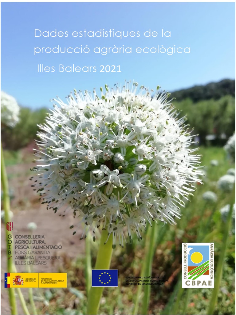 Eae 2021 | PDF