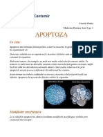 Apoptoza Ciurciù Giulia LP