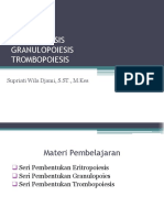 Eritropoiesis, Granulopoiesis Dan Trombopoiesis-Wila - Hema3