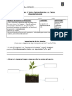 Ciencias Guia n2 Tercero Basico II Semestre