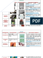 Algas y Hongos Con Descripcion