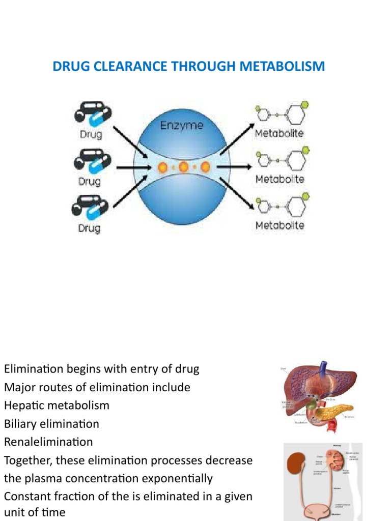 Drug Metabolism and Elimination A Comprehensive Review of the Major
