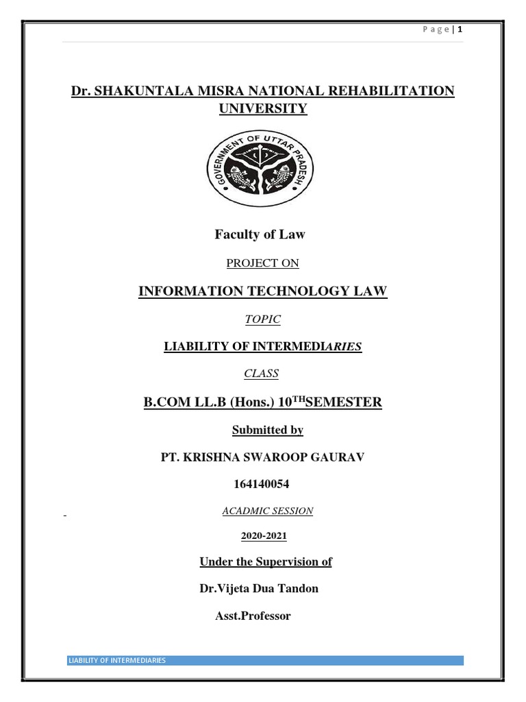 Intermediary Liability in IT Law | PDF | Online Copyright Infringement ...
