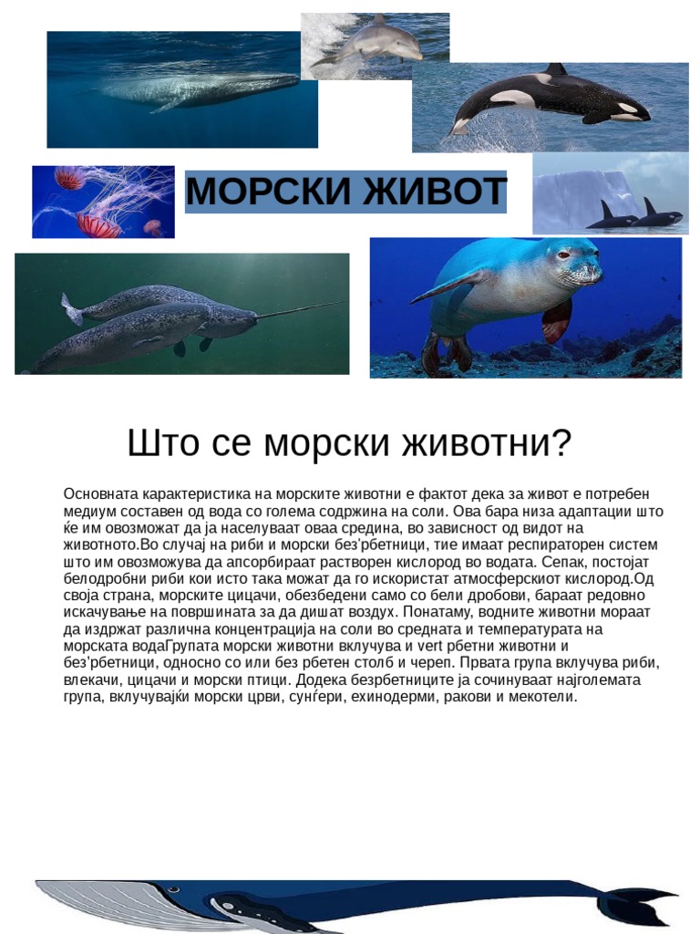 Морски | PDF