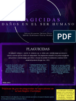 Plagicidas - Daño Ser Humano