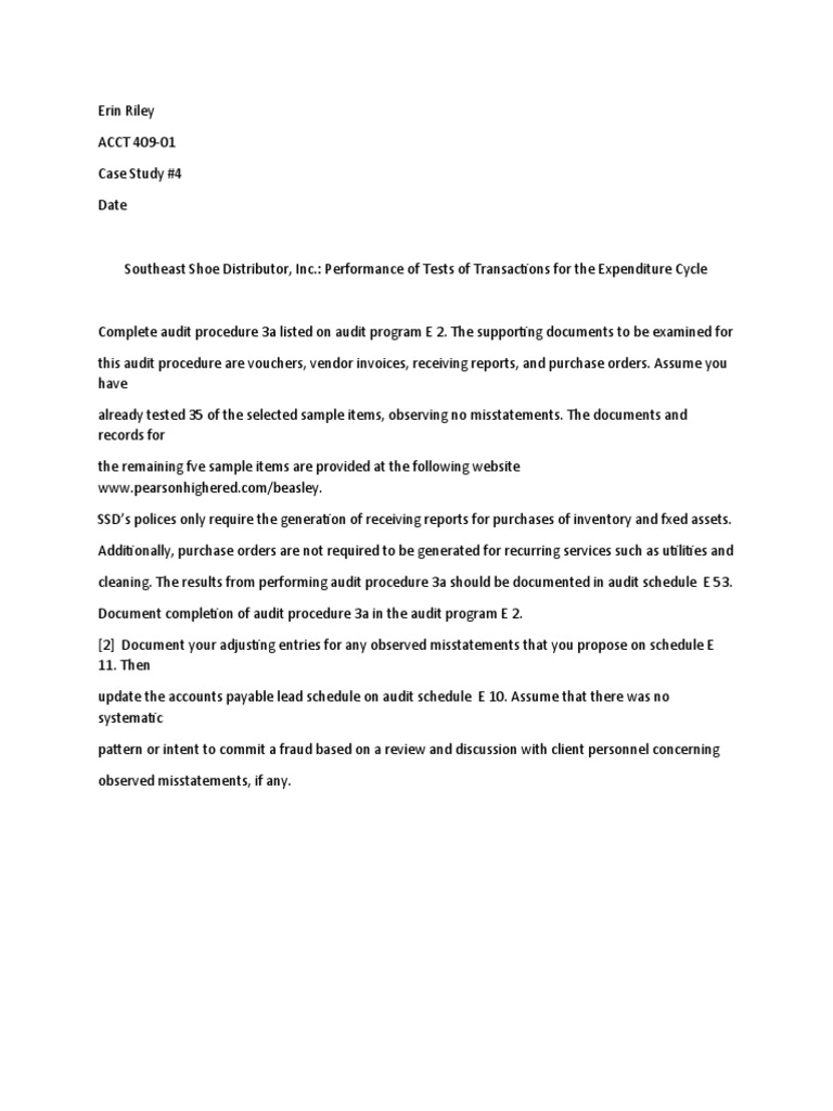 Audit Case Study 4 PDF