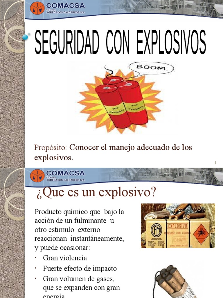 Seguridad en Manejo de Explosivos | PDF