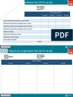 Reporte Diario Plan de Seguridad Fin de AÃo (1) (003)