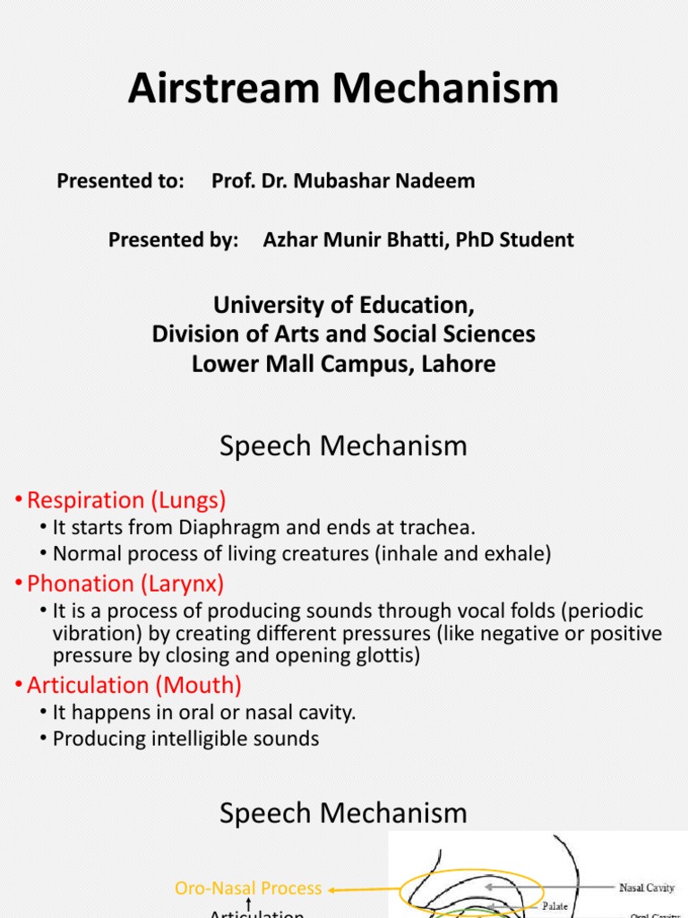 Pulmonic Airstream Mechanism PDF