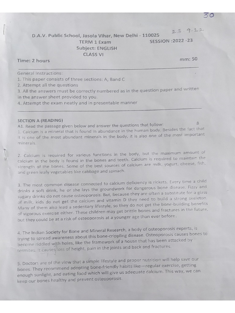 Term 1 English Question Paper PDF
