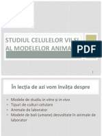 Studiul Celulelor Vii Şi Al Modelelor Animale