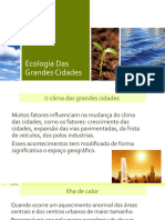 Ecolog i a Das Grandes Cidade s